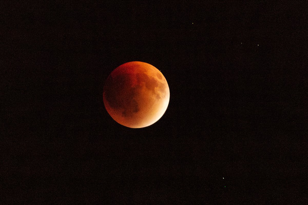 wildlifegiri's tweet image. Moon moments🌙
#Lunareclipse