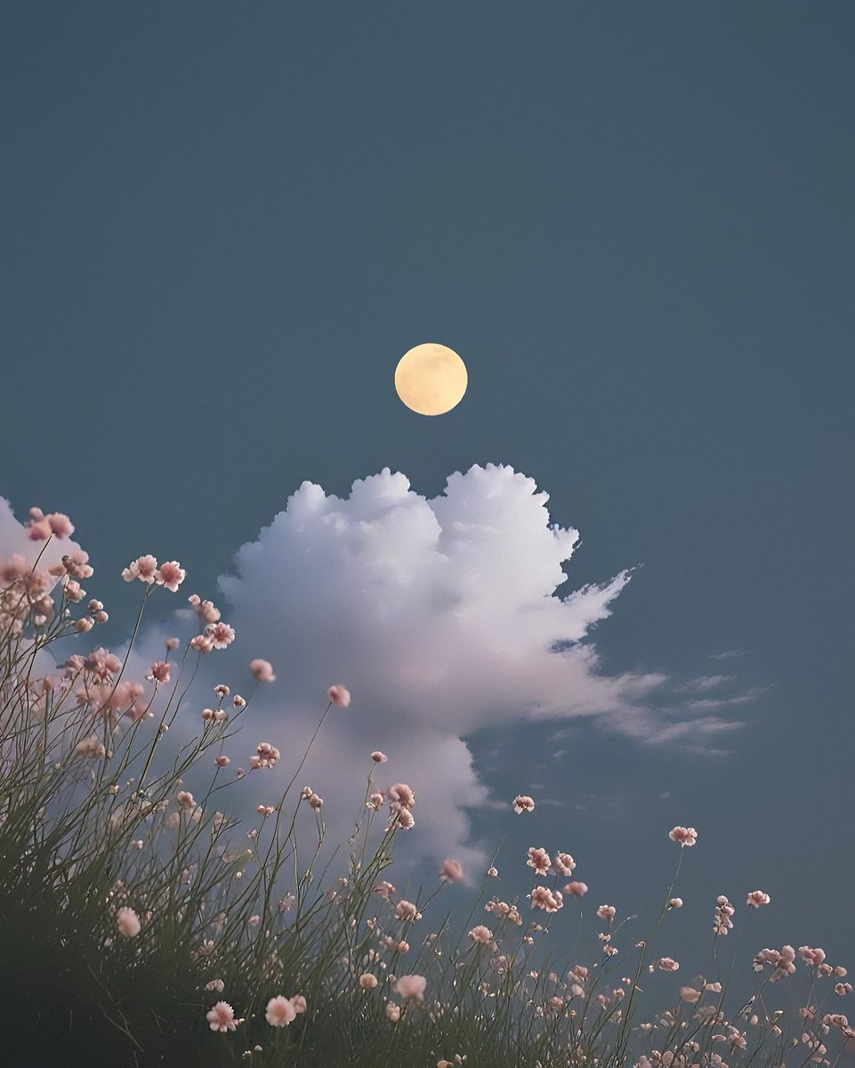 Indeed, the wrongdoers will never succeed.

Quran, 6:135

#เขมจิราต้องรอดseries #Trump
#كاريزما76 
#patlama #MasterChefCelebrityColombia
#السعوديه_العراق