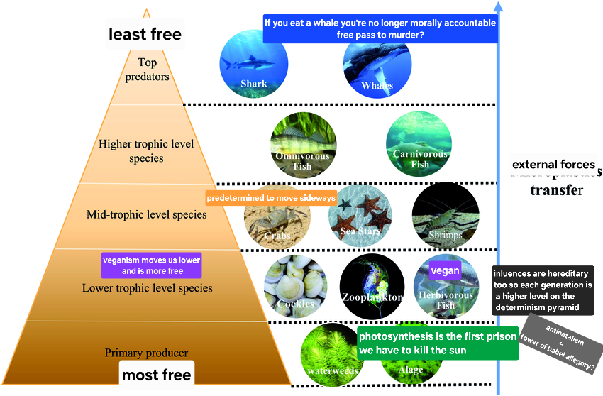 TotalPhilo's tweet photo. Determinism is a kind of microplastic if you think about it https://t.co/TPEGnB24mM