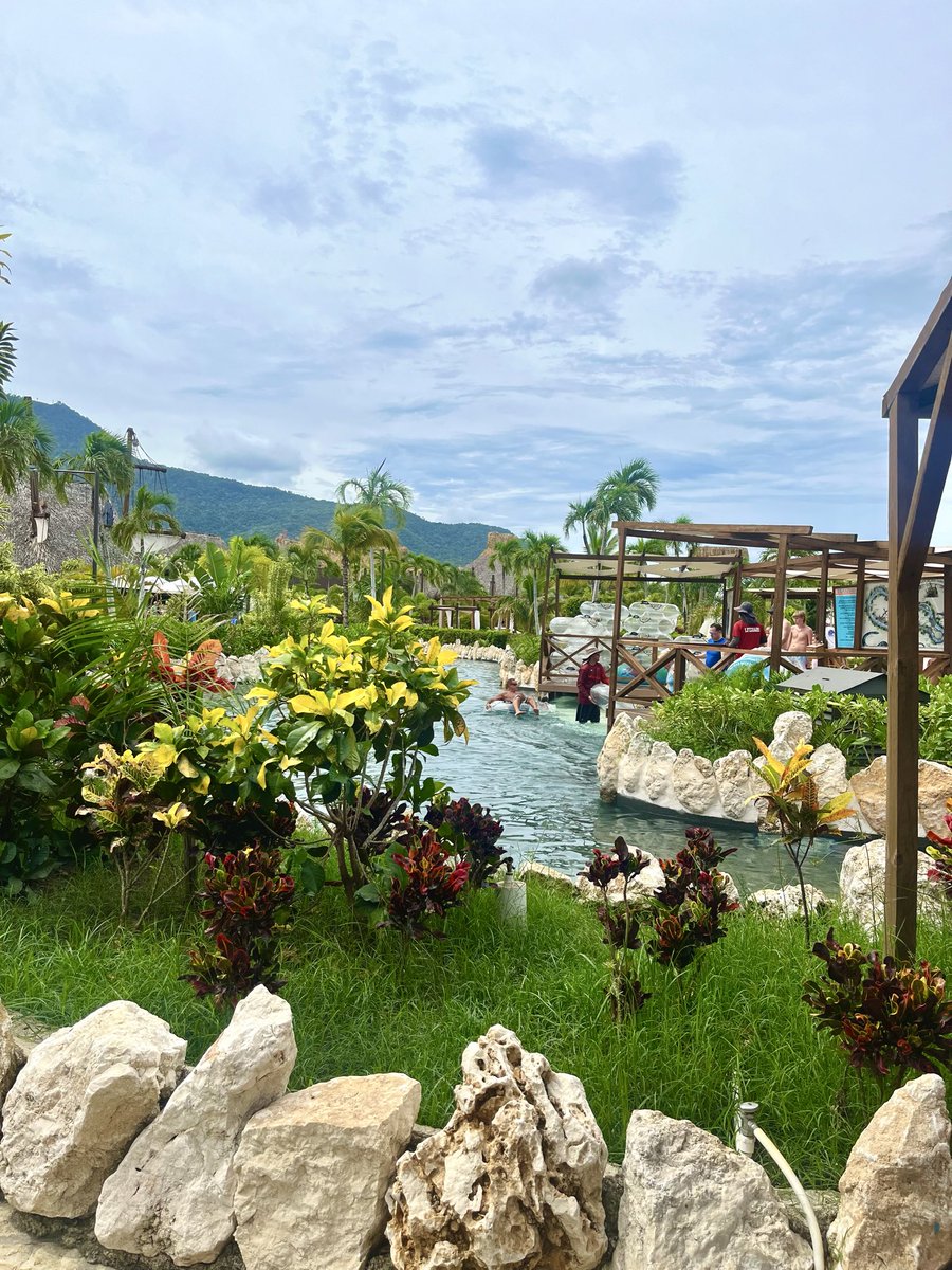 Mark Roberts tweet media