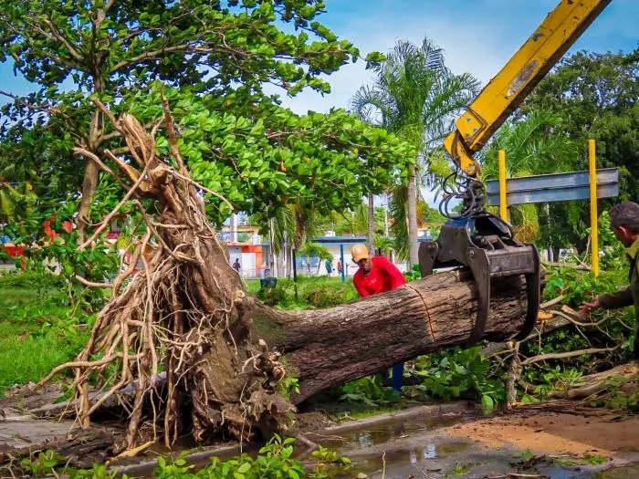 Y comenzó la recuperación. Todos unidos vamos a poner nuestras ciudades mas hermosas
#PorCubaJuntosCreamos
<a href="/Colina_CTCuba/">Miguel Colina</a>