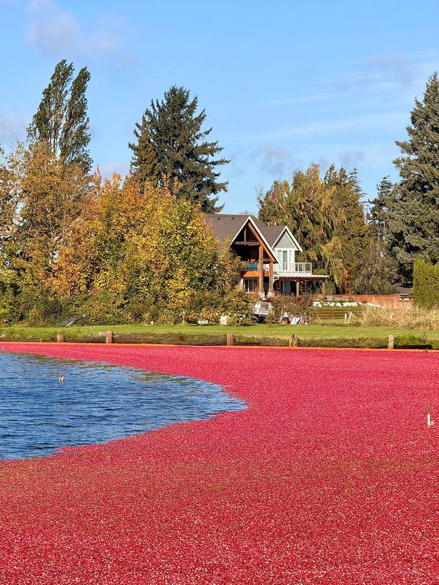 I really want to see it, it's so good!