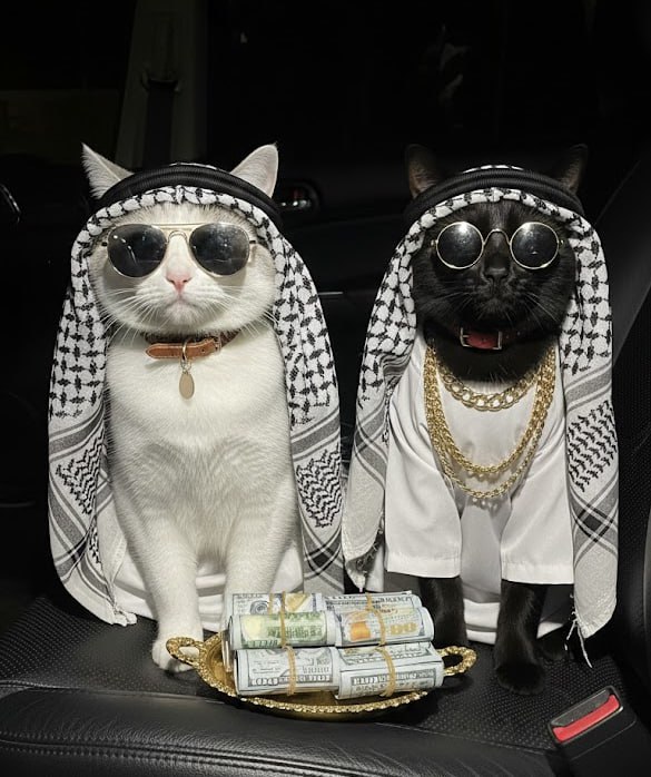 just filled the tank. 

keep the change. 💵😼