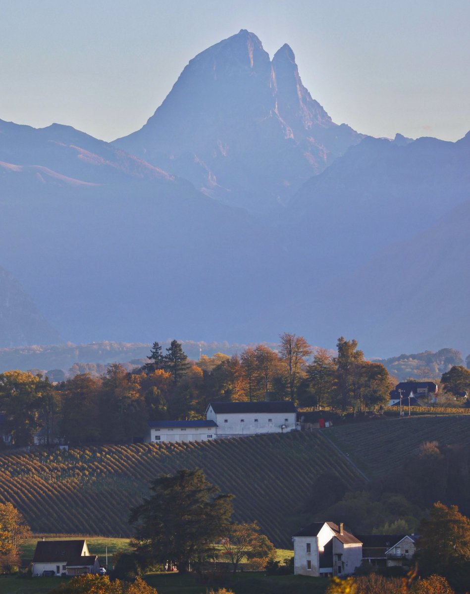 « À Jurançon, chaque vigne murmure une promesse d’amour. »