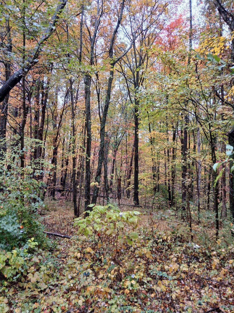 jackson_rake's tweet image. They can keep their 5 million dollar condos. Im good right here.