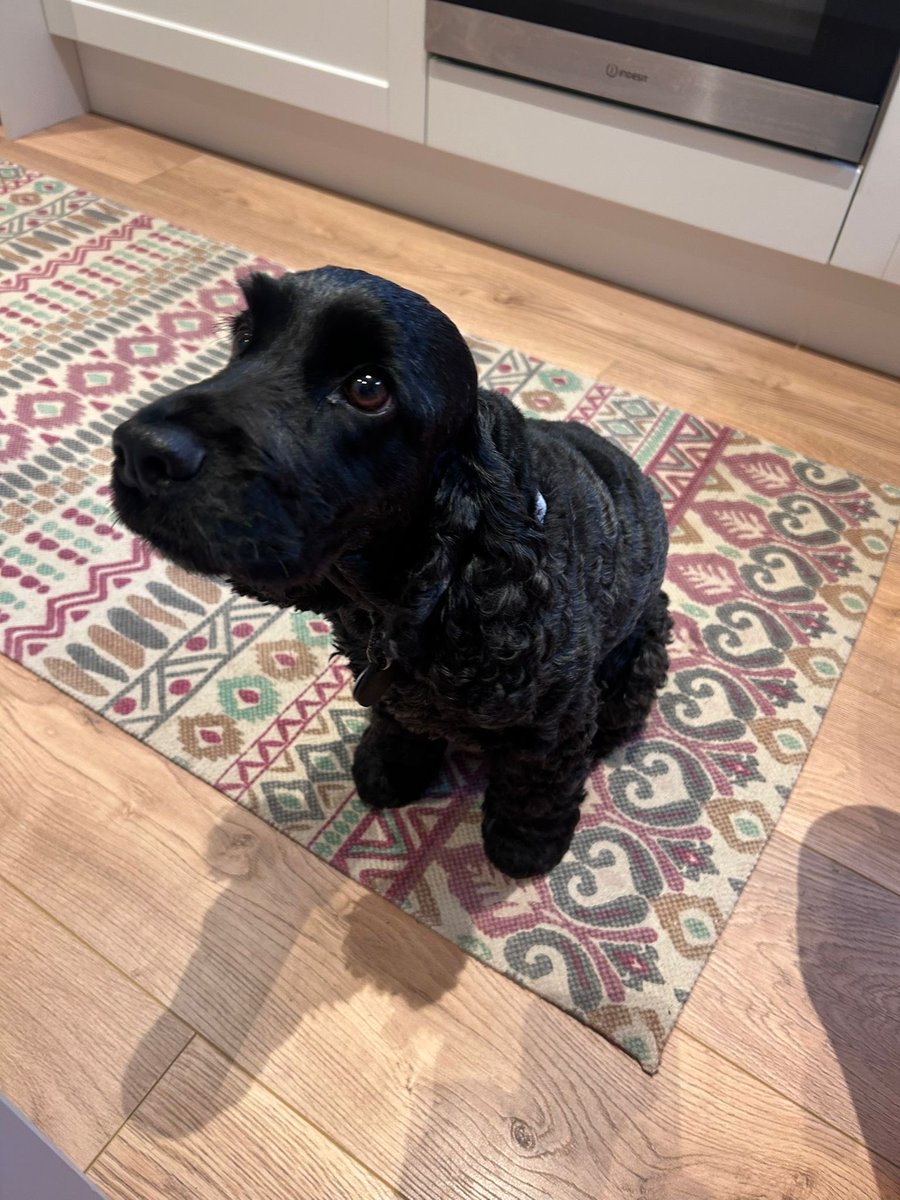 It also appears that #roomservice doesn’t start as early as I’d hoped.