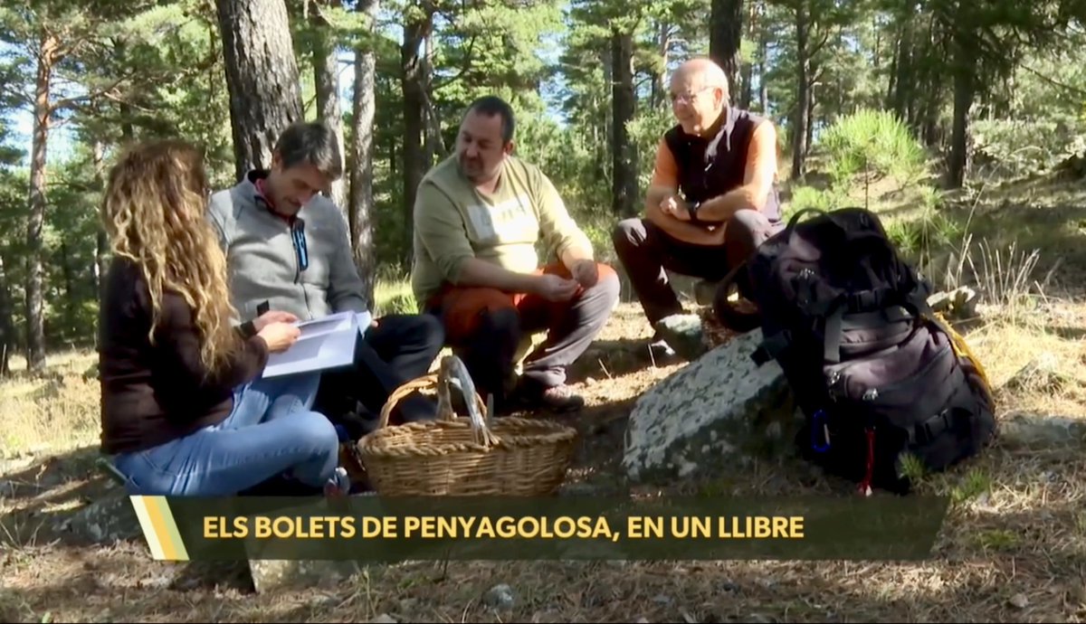 juananquerol's tweet image. Els bolets de Penyagolosa, en un llibre
🍄
▸ apuntmedia.es/programes/la-v…