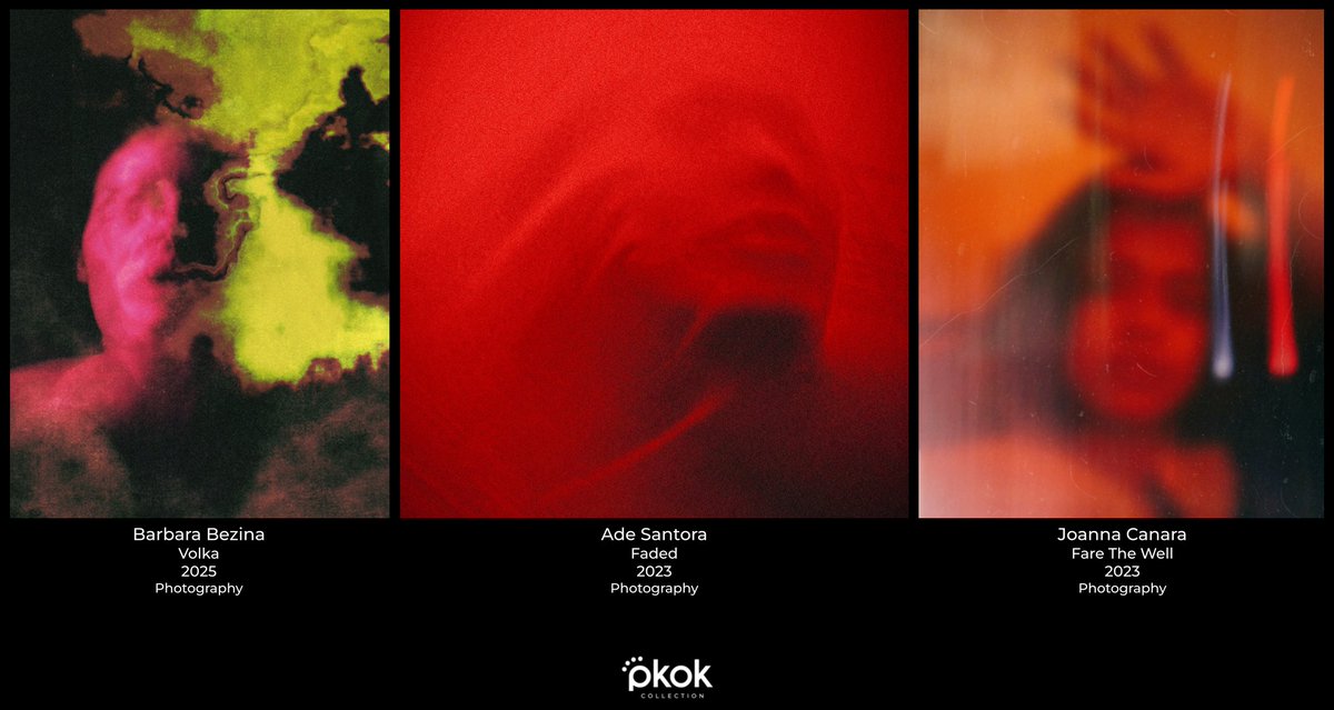 From the Pkok Collection:

Volka
by <a href="/BarbaraBezina/">Bárbara Bezina</a> 
2025, Photography

Faded
by <a href="/adesantora/">Ade Santora</a> 
2023, Photography

Fare The Well
by <a href="/sereneObscurity/">jo.</a> 
2023, Photography