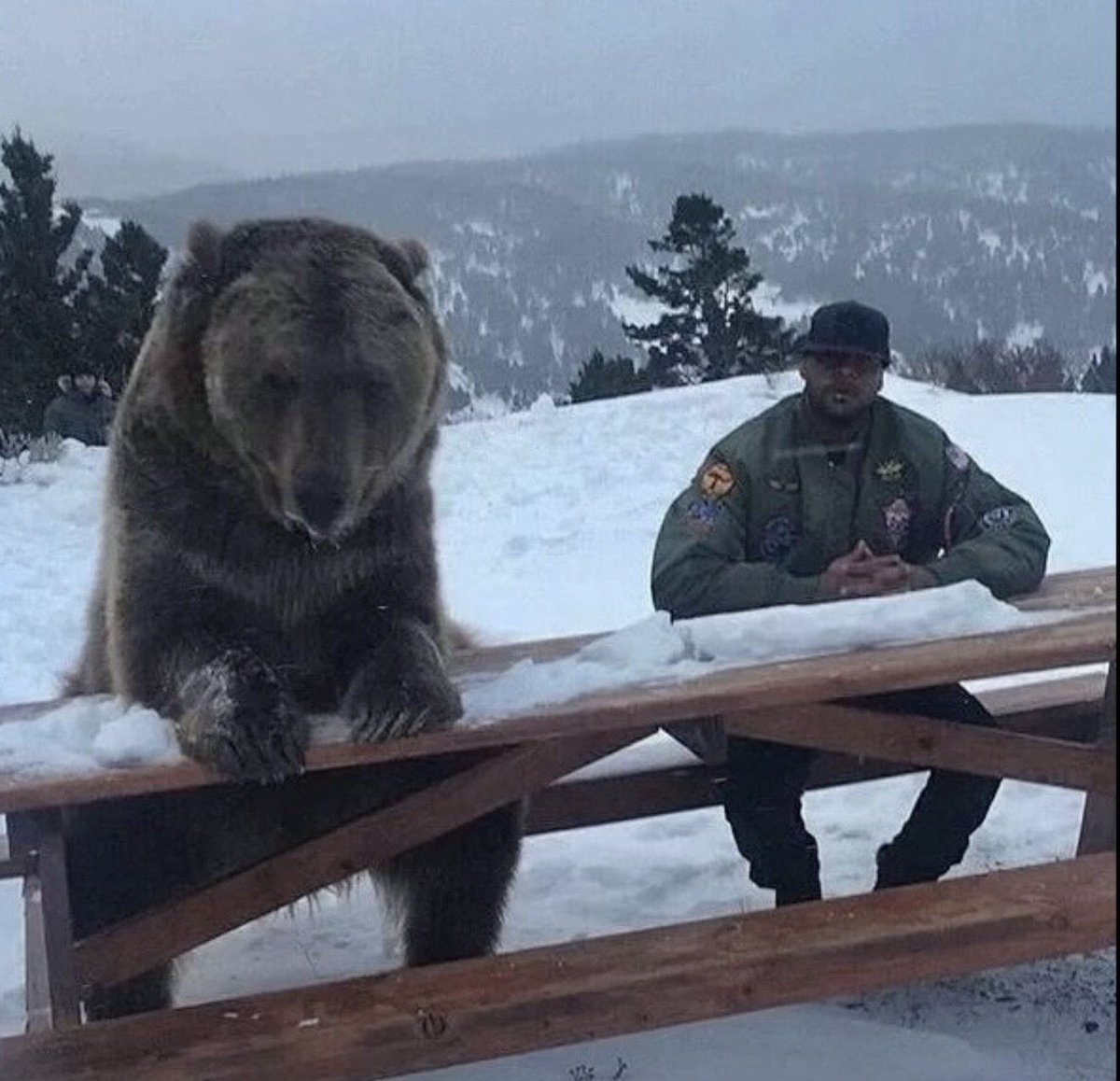 CLA 🙌🏽 🐻 #Booba