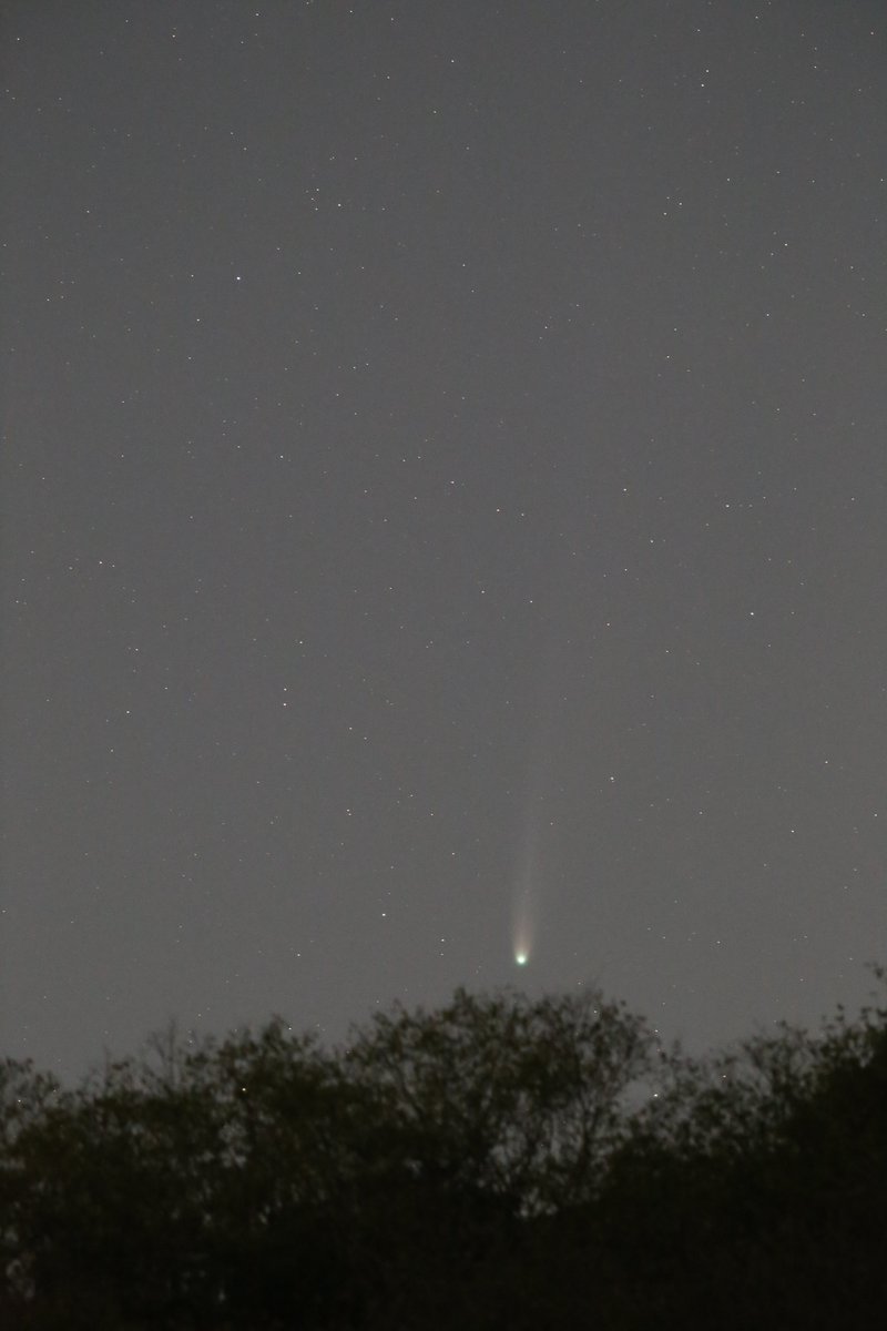 victory_h's tweet image. レモン狩り
（2025.10.30  18:21）
レモン彗星 C/2025 A6 (Lemmon) の取って出し（ワンショット）です。
自宅から車で約30分くらいのところにて、お天気下り坂の前に月齢 8.9の月明かりの中、撮影した1枚です。
#レモン彗星
#C2025A6Lemmon