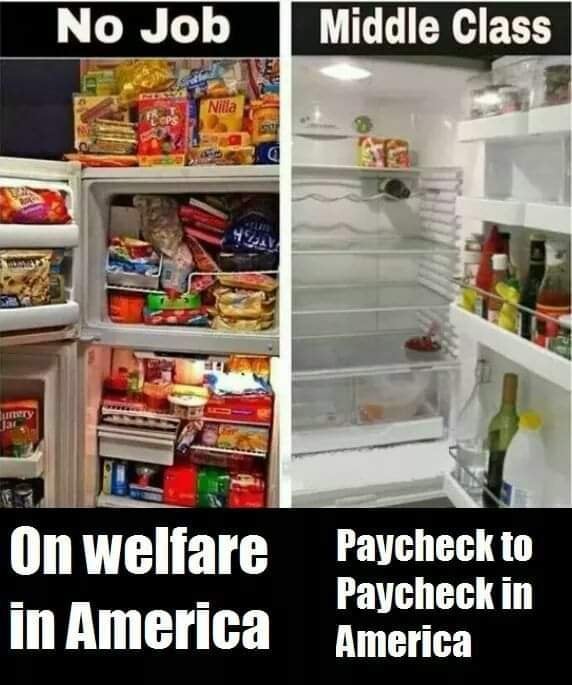 shipwreckshow's tweet photo. If the average person (according to google) pays in $36 a year to the SNAP program.

It takes 14 families a month to cover ONE person's monthly $500 food stamp haul of Doritos and Mountain Dew.

14 families. https://t.co/dpDEcSHDHl