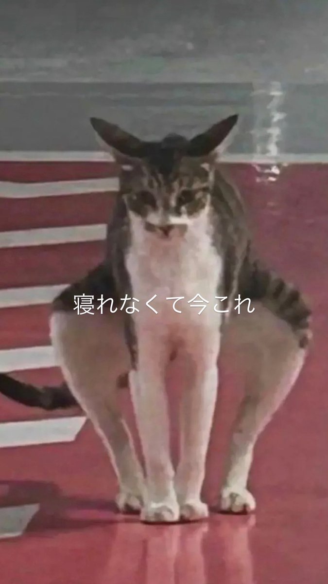 かんちむ@JZX110W偽(🫨) on X