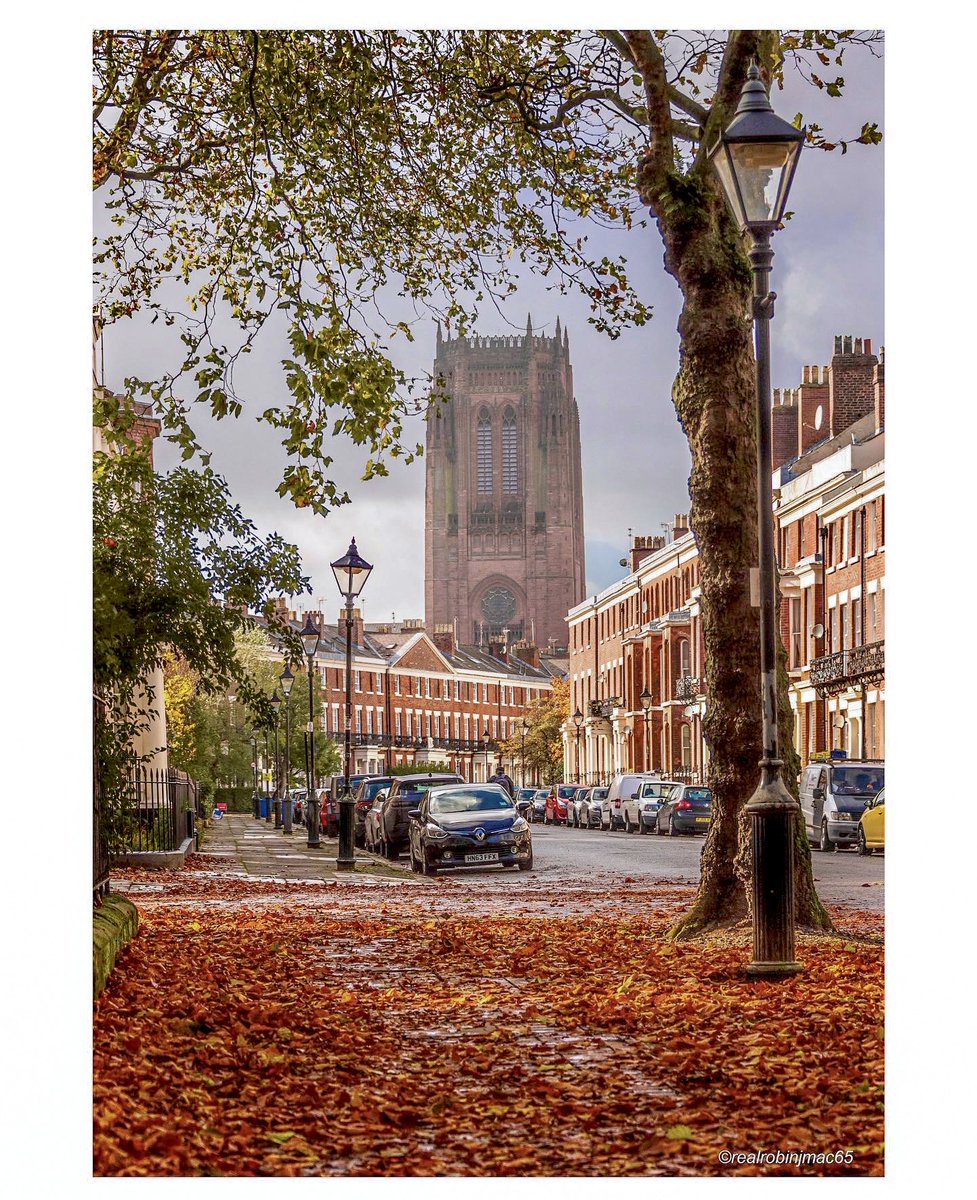 @realrobinjmac65 tweet media