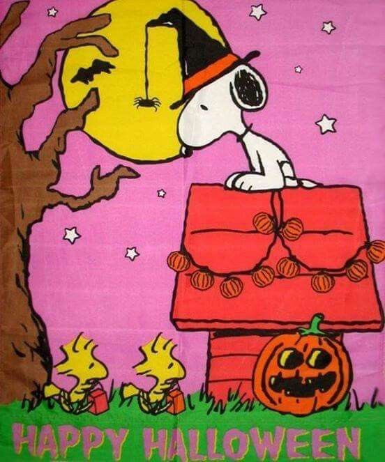 snoopy lover (@snoopyfever_) on Twitter photo 