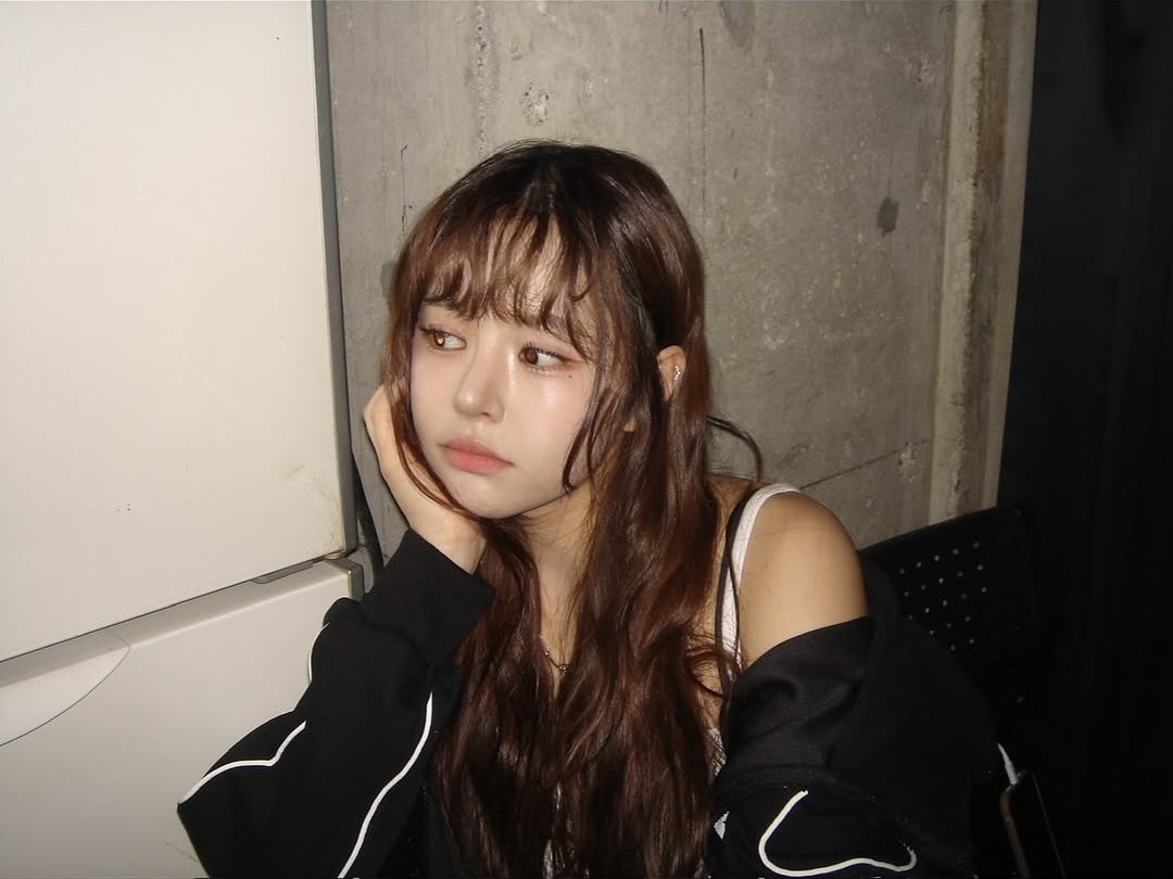 everglow pics tweet media