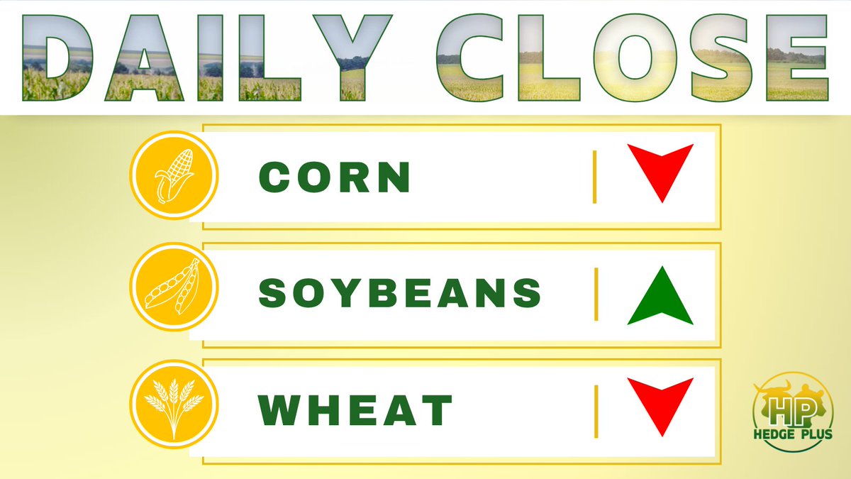 Selected grain contracts at settlement...

Wild day with major price swings for soybeans. At day's end, the market is looking favorably on trade hopes with China...

Dec CORN: down 3¾ cents to $4.30¼
Jan SOYBEANS: up 13¼ cents to $11.07¾
Dec WHEAT: down 8 cents to $5.24¼