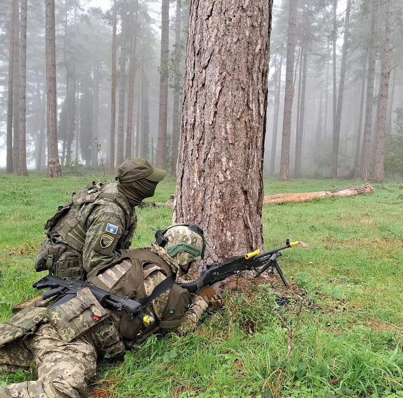 „Vojska Kosova deluju sa četvrtim kontingentom od početka učešća u operaciji "Interfleks - obuka UKR vojnika u UK "', gde je pripojena četi Eho (predvodi jedinica sa N. Zelanda).Ova četa se sastoji od 4 jedinice iz različitih zemalja (Novog Zelanda, Kosova, Estonije i Litvanije)“
