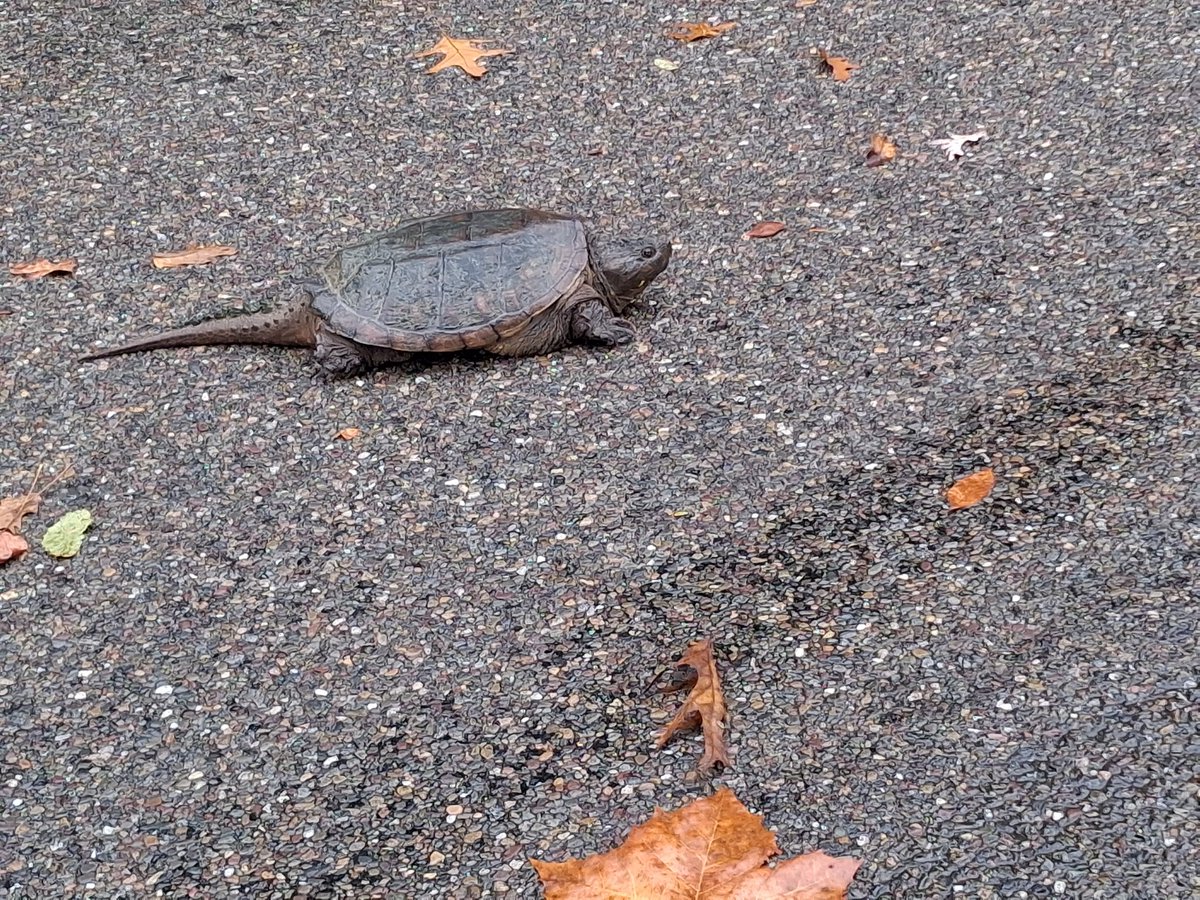 Helped him off the road