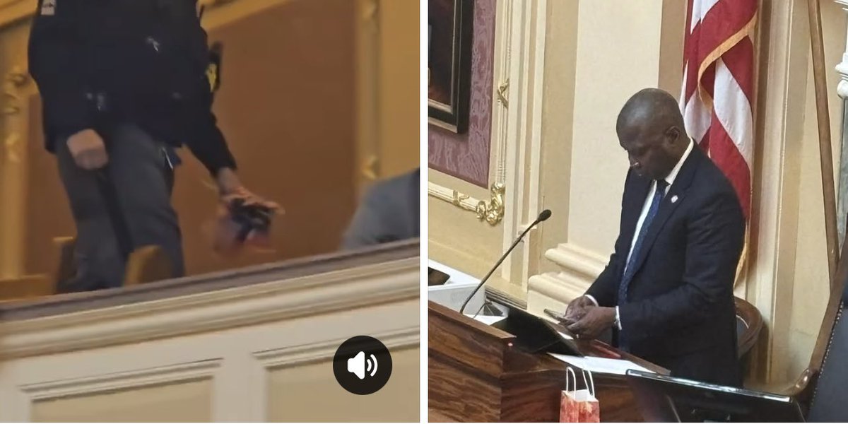 🇺🇸🚨🇺🇸The Speaker of the House, Don Scott, just ordered all American Flags Confiscated from the Gallery. This is the Capitol of Virginia, and now we can’t have American Flags? You ok with this Virginia???