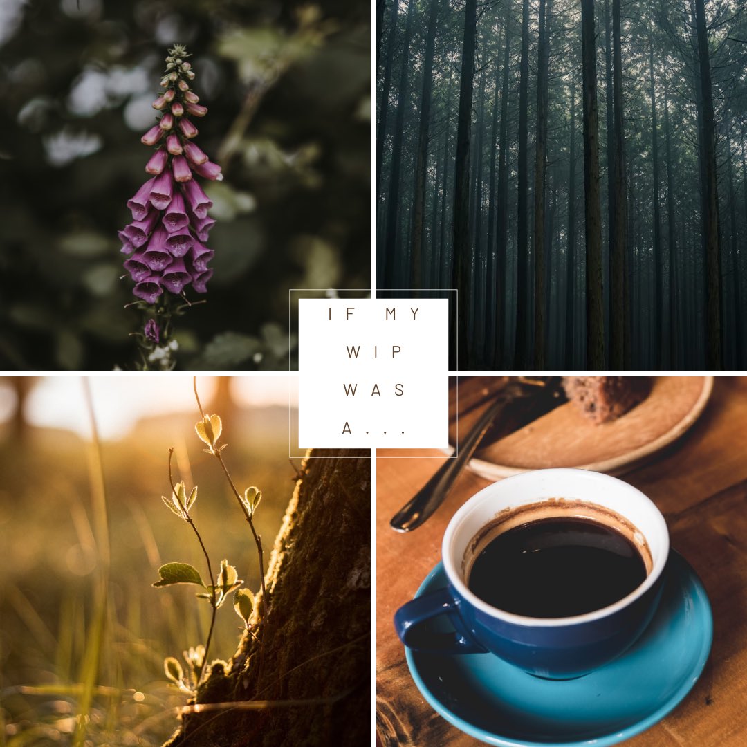 HEMLOCK &amp; SILVER X EMILY WILDE

Dosage is the thin line between medicine and poison—a line Euphemia has no choice but to cross. 

#GhostPit #Q #F #R #NA