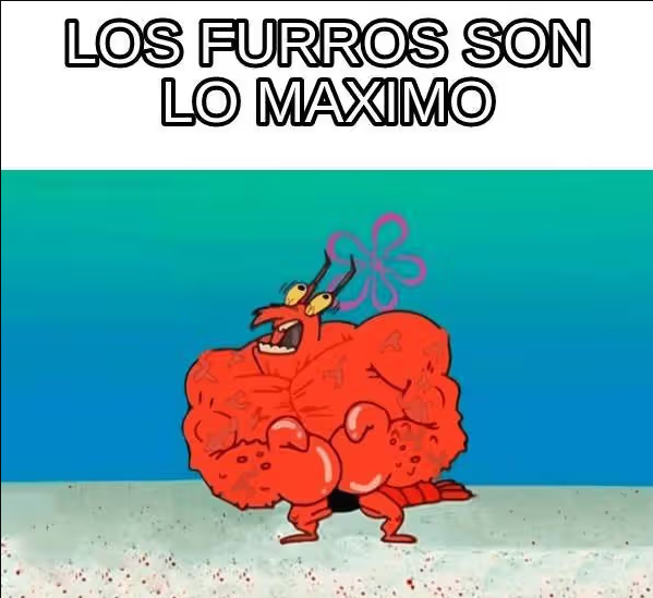 Cessar (Akiibakei) tweet media