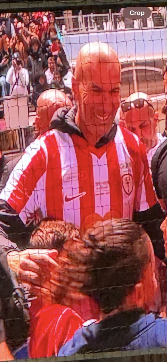 Stuart Daynes tweet media