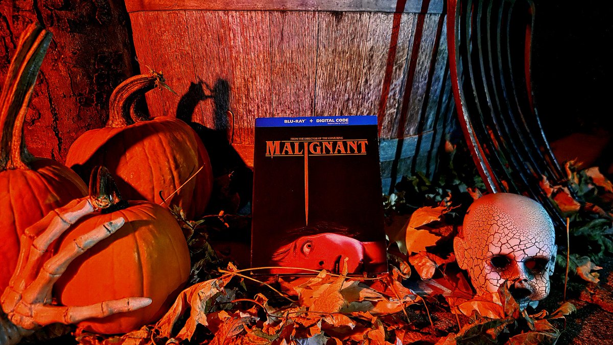 🎃🍂Road To Halloween XI🍂🎃
🎃👻Festival Of Terror💀🎃

- Movie #29 - Malignant (2021)

- Directed By: James Wan

- Starring: Annabelle Wallis, Maddie Hasson, George Young, Michole Briana White, Zoë Bell &amp; Mckenna Grace