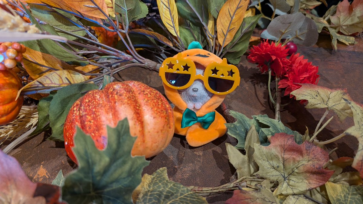 おくらいりHALLOWEEN2024 yea on X