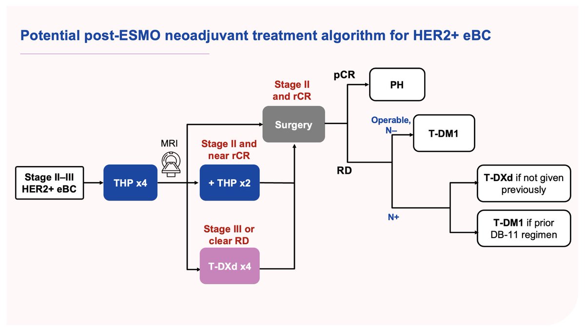 After moving beyond anthracyclines, we’re now moving beyond carboplatin for HER2+ disease.

We now know that:
- THP x4-6 leads to pCR 50-60% of pts
- adding T-DXd x4 further boosts pCR in high-risk pts
- in case of RD, two ADCs can optimize outcomes

Here’s my future algorithm: