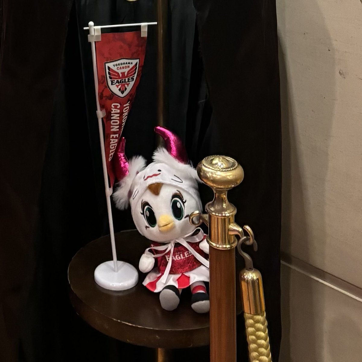 kana様 エクストラパック 第26弾 スタート☆フェスティバル!! ｜ Z/X