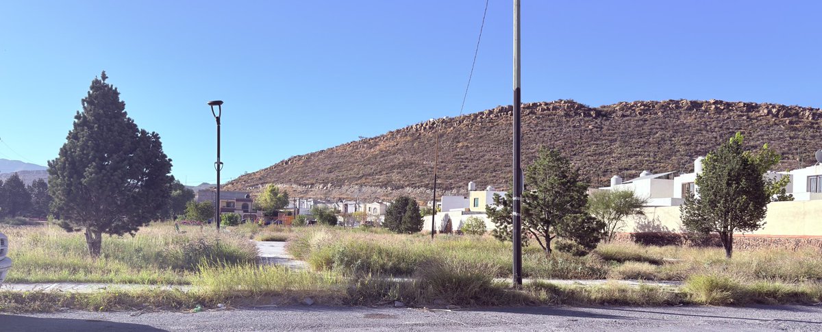 Carlos Ch. tweet media