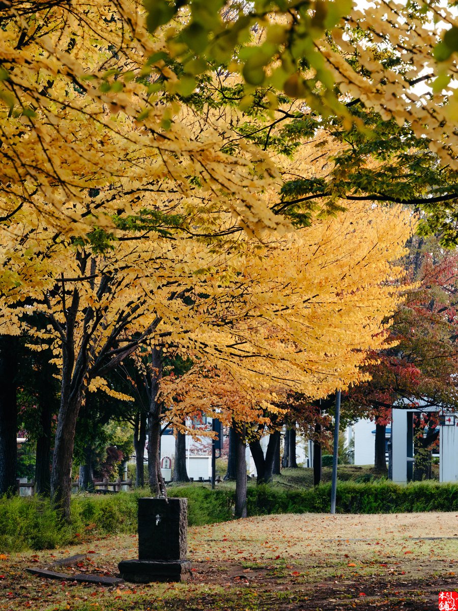 肝助のしじみちゃん本舗（公式） on X