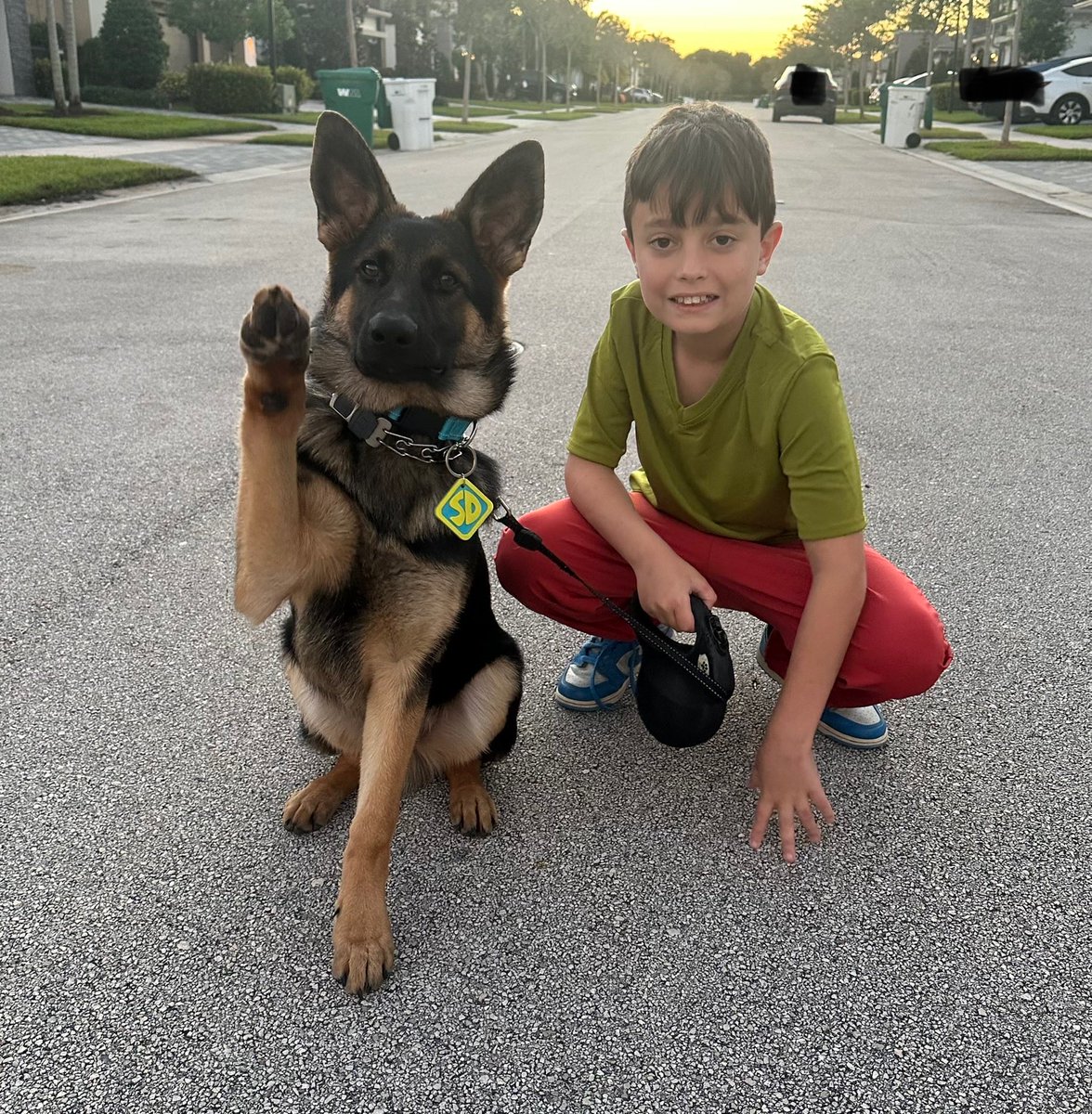 Scooby dooby doo! Happy Halloween!