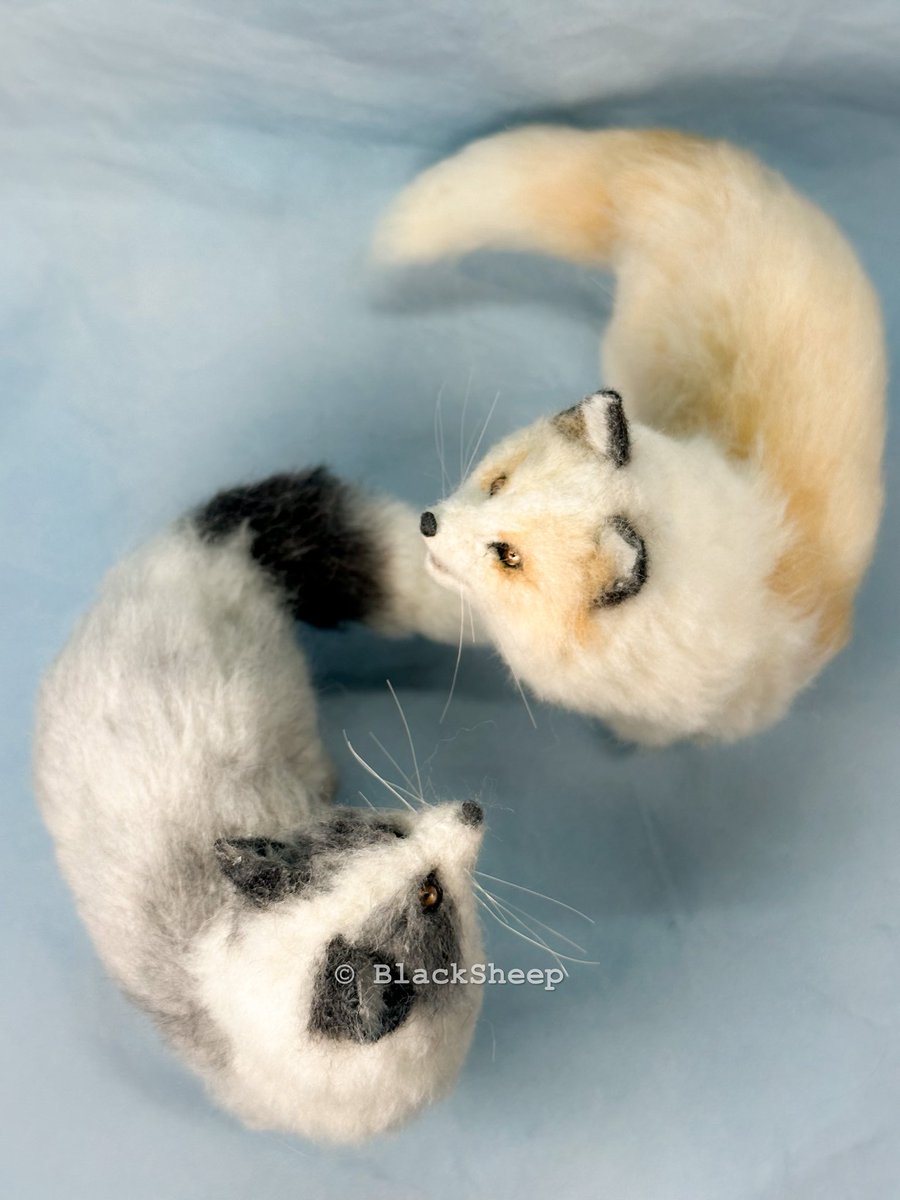 Hiroko@羊毛フェルト on X