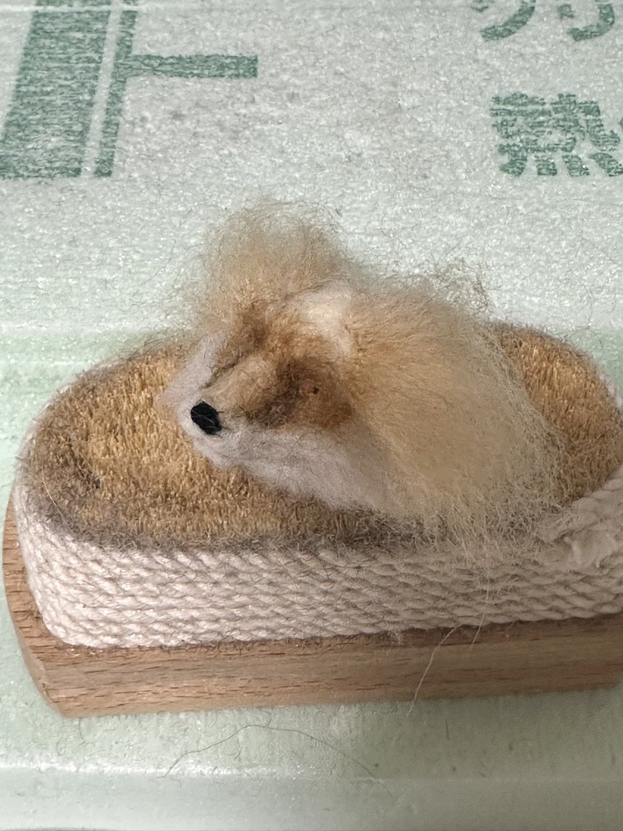 Hiroko 羊毛フェルト 犬 Hiroko羊毛フェルト (@hirokonefe) • Instagram photos and videos