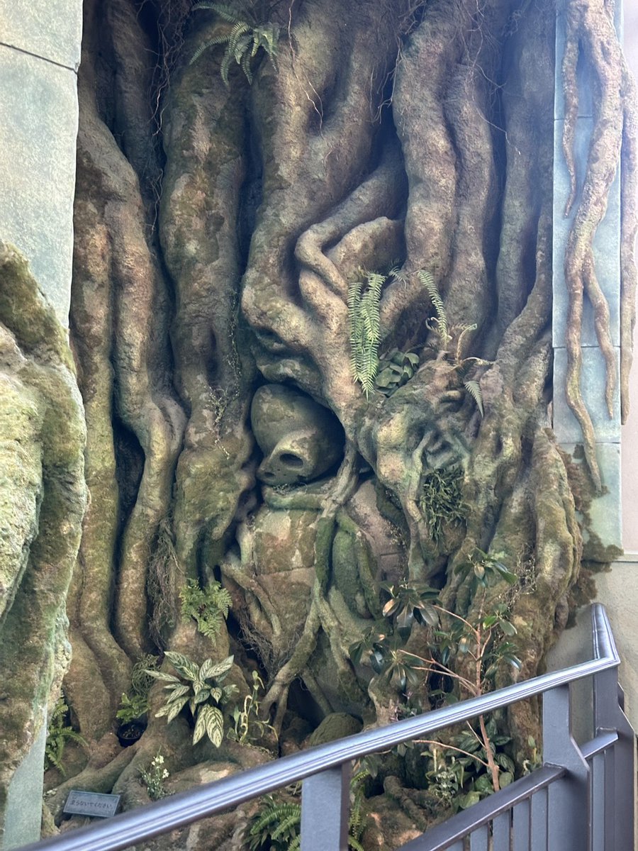 __6e7__'s tweet image. 娘と孫とロボット兵に会いに行ってきた🍀
そろそろゲームしたいよ🎮