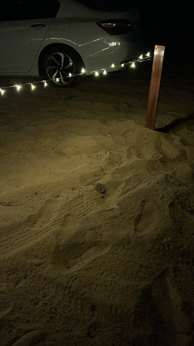 الليالي الشتوية