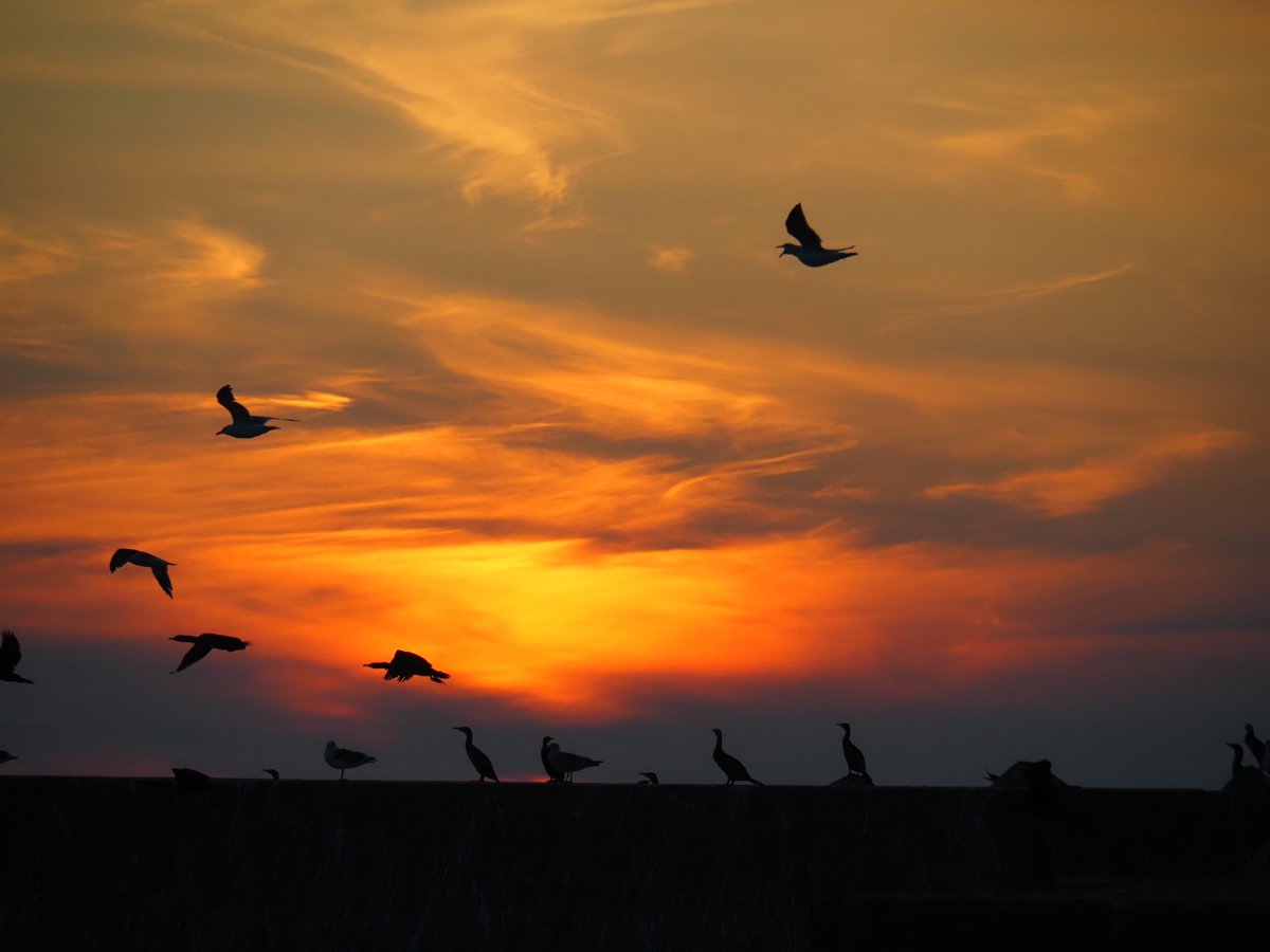 印象派的な夕日🌇🤔 今日も元気に行ってらっしゃい！💪