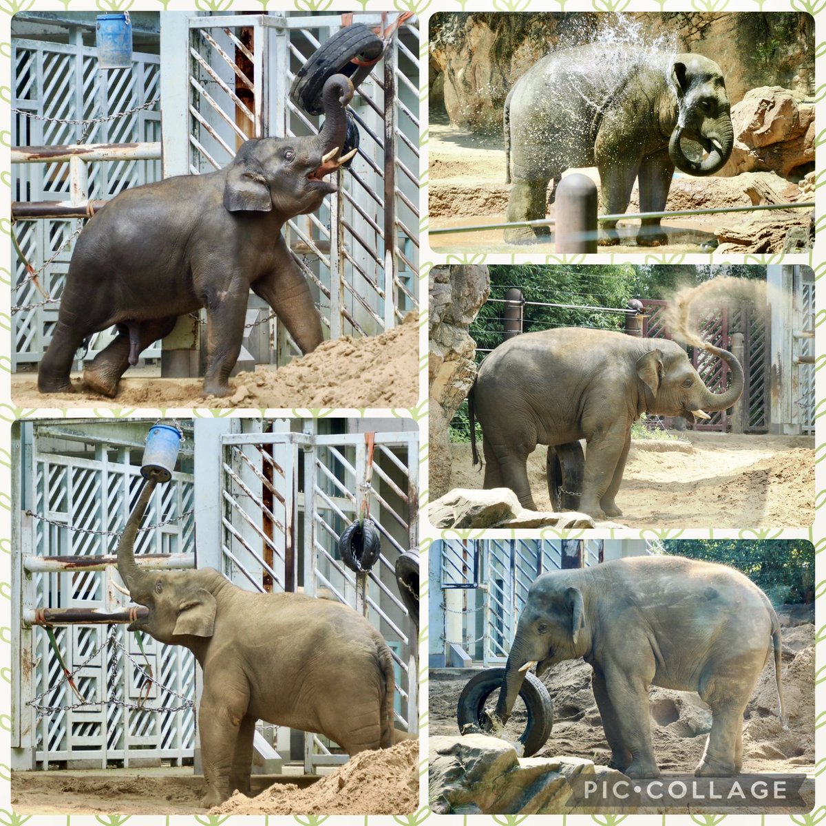 CREA銅版画工房 (@fukikotakao) / Posts / X