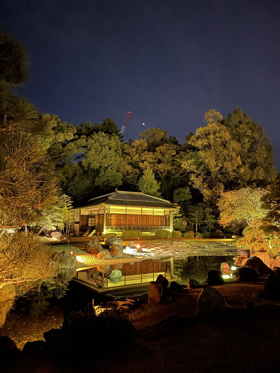 ネイキッドさんの10/31〜12/7の催しの内覧会にお邪魔してきました
（於 二条城）
毎回新しい仕掛けに「おぉ〜」ってなるのですが、今回が一番好きかも！
↓写真は参考程度にぜひ体感してきて欲しいです（私なら余裕で2時間は楽しめる内容です）
そして改めて感じたこと
→  “二条城 広い！”