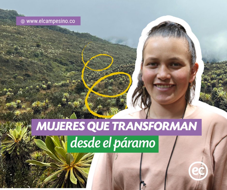 Desde las montañas de Boyacá, un grupo de mujeres decidió cambiar el rumbo de su territorio. 🗻

Daisy Lorena Romero y la organización Asocomba demuestran que la verdadera acción climática empieza en casa, en la huerta y en comunidad.

Conoce cómo estas lideresas campesinas están