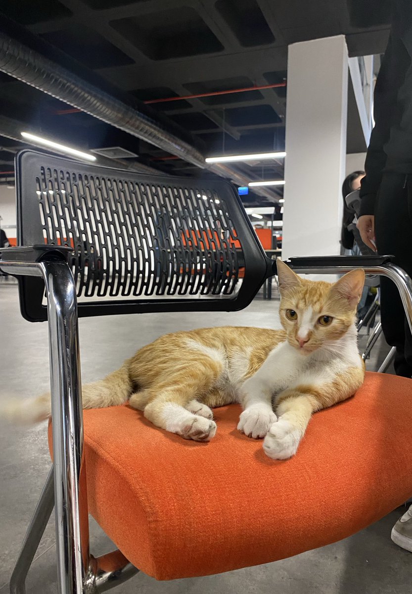 Seviyoruz bu okulu ne diyim 🫶🏻🫡