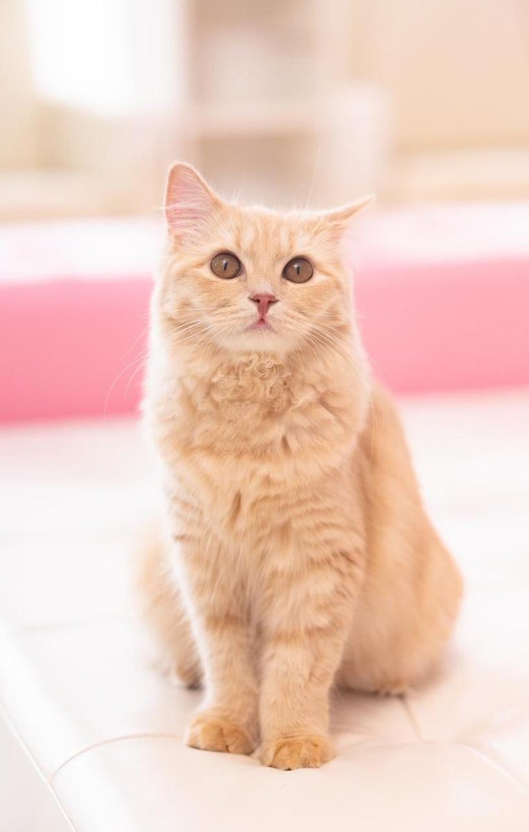 月曜日昼のメモ：晴れ／わくわく。作業する→休憩する。あせらずに。 📱