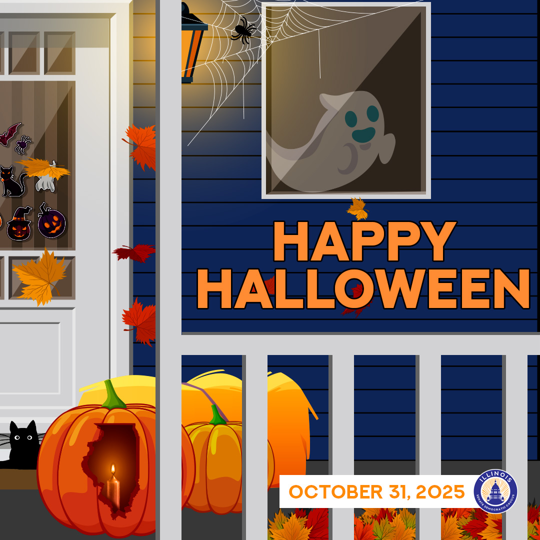 Senator Laura Fine tweet media