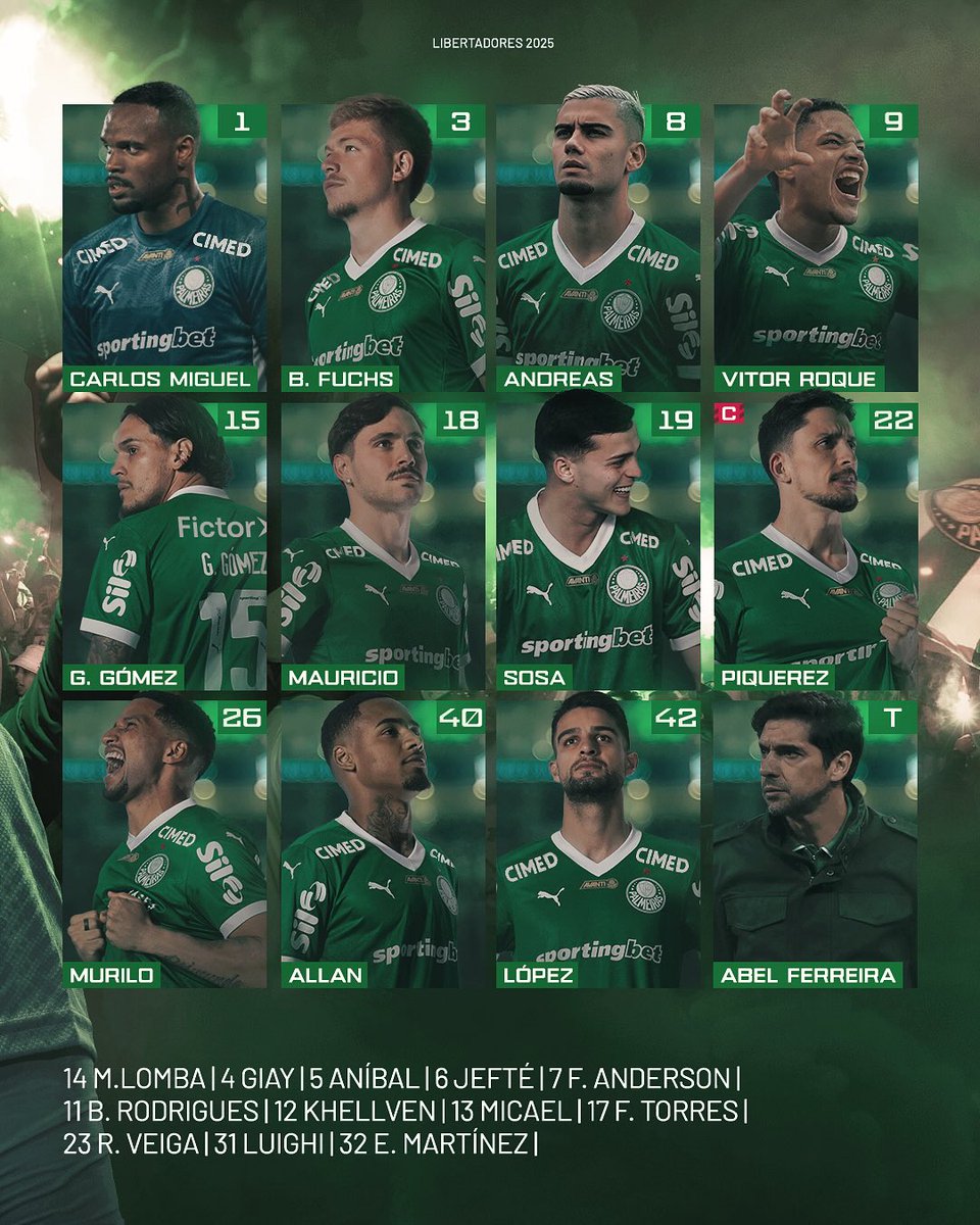 deprepalmeiras's tweet photo. PALMEIRAS NA PEDRA. https://t.co/gCxAVB4Fbw