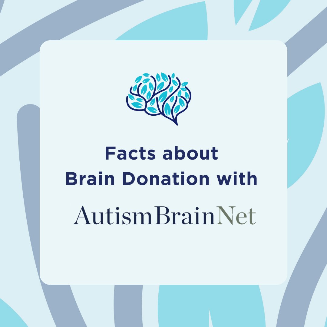 AutismBrainNet's tweet image. Brain donation is a voluntary process and the decision to become a brain donor is a personal one. Learn the facts of brain donation with Autism BrainNet to determine if postmortem brain donation is right for you and your family. Know the facts: autismbrainnet.org/10-facts-about…