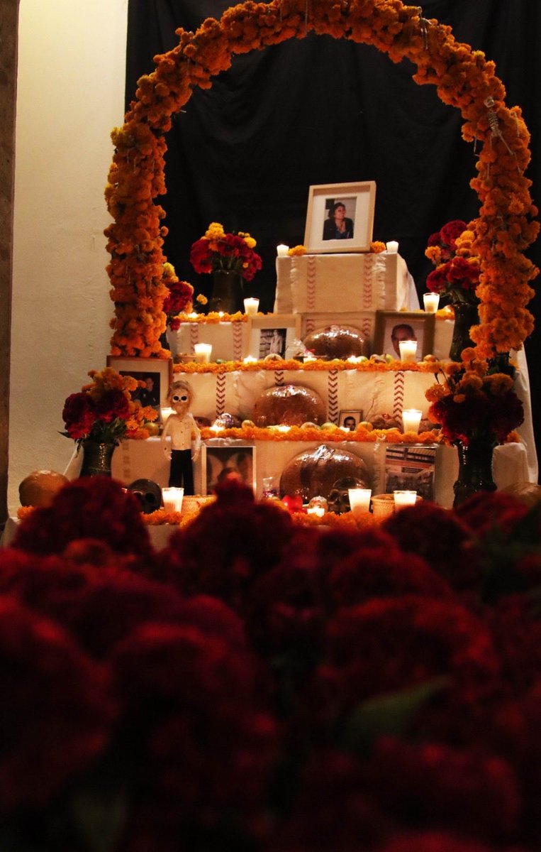 ✨ OFRENDAR Y RECORDAR ✨

Esta es la temporada en que el viento se siente diferente. Incluso las mañanas llegan con otro aroma, el sol sale más cálido.

¿Ya visitaron nuestro altar? 🥰

¿Ustedes a quiénes dejan ofrenda y recuerdos? 🤍✨