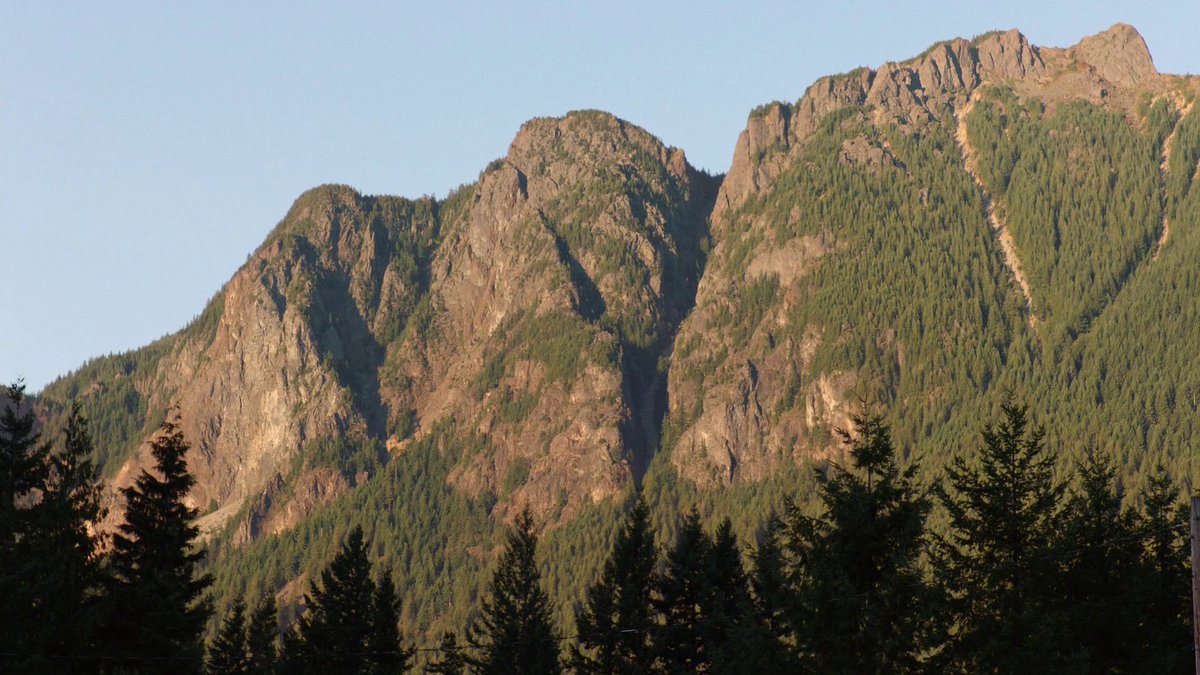 twin peaks (the return)