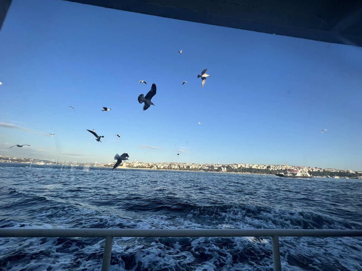 خفف من أحمالك لتحلق

جلال الدين الرومي