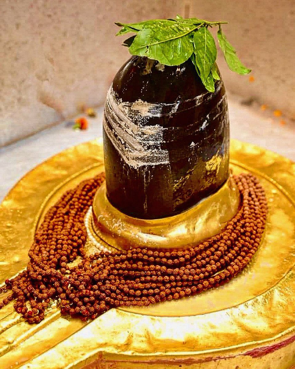 श्री काशी विश्वनाथ महादेव दिव्य दर्शन, हर हर महादेव।